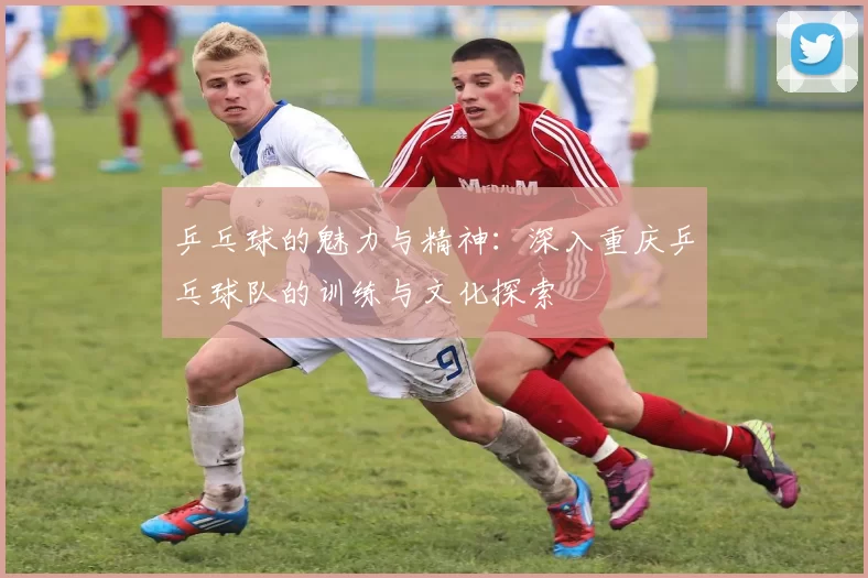 乒乓球的魅力与精神：深入重庆乒乓球队的训练与文化探索
