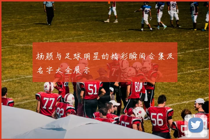杨颖与足球明星的精彩瞬间合集及名字大全展示