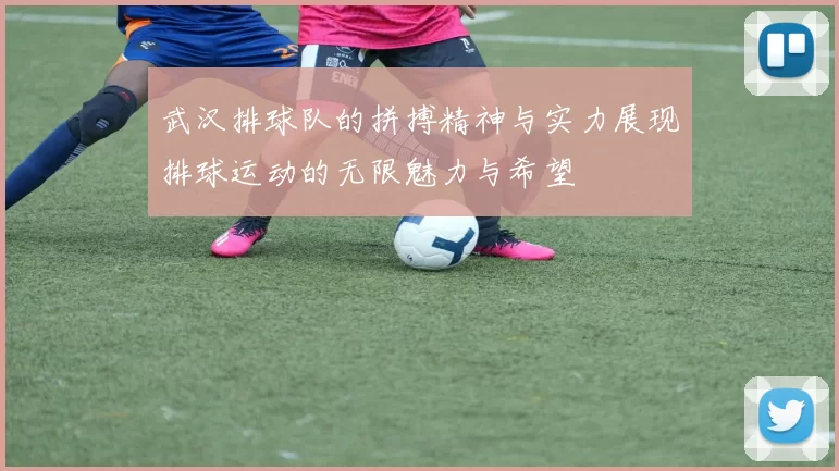 武汉排球队的拼搏精神与实力展现排球运动的无限魅力与希望
