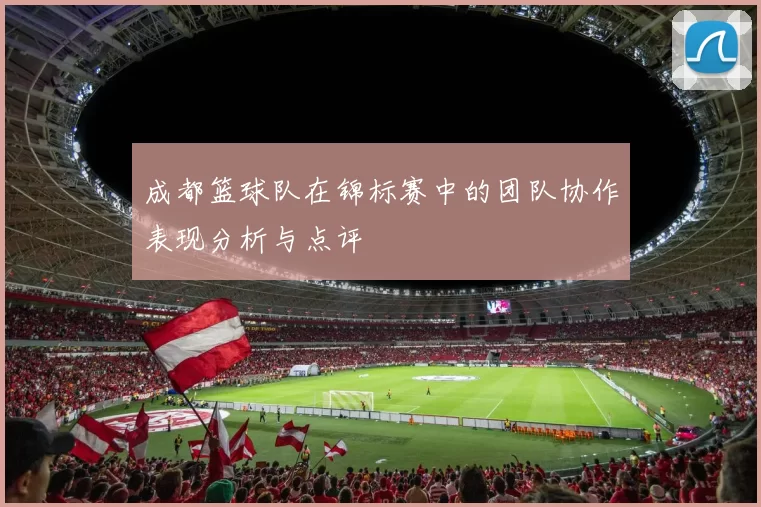 成都篮球队在锦标赛中的团队协作表现分析与点评