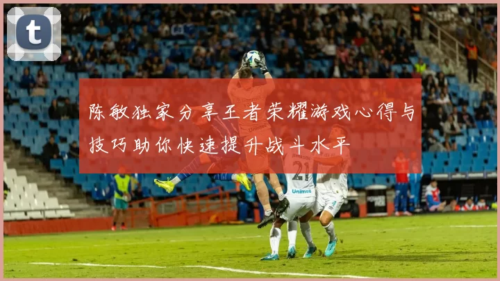 陈敏独家分享王者荣耀游戏心得与技巧助你快速提升战斗水平