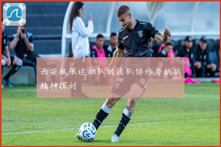 西安极限运动队的团队协作与挑战精神探讨