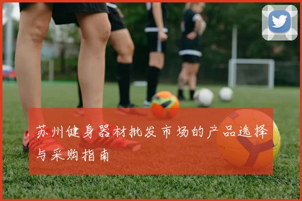 苏州健身器材批发市场的产品选择与采购指南