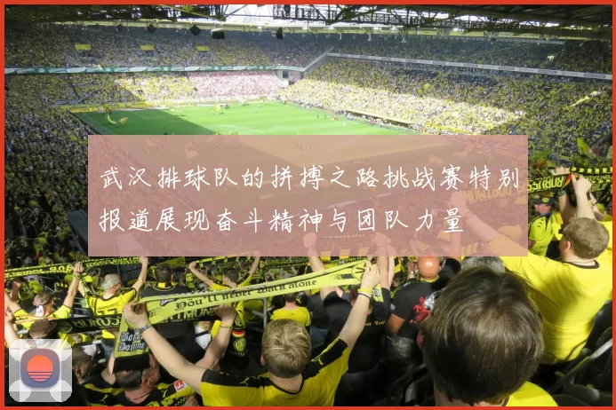 武汉排球队的拼搏之路挑战赛特别报道展现奋斗精神与团队力量