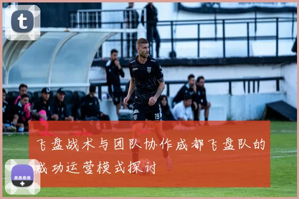 飞盘战术与团队协作成都飞盘队的成功运营模式探讨