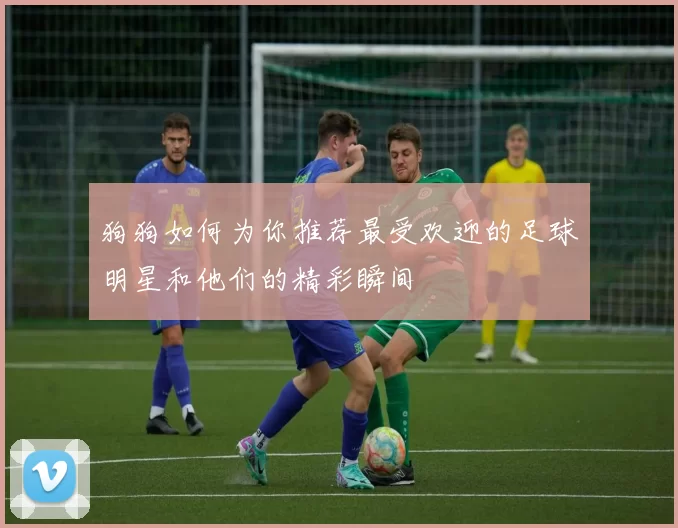 狗狗如何为你推荐最受欢迎的足球明星和他们的精彩瞬间