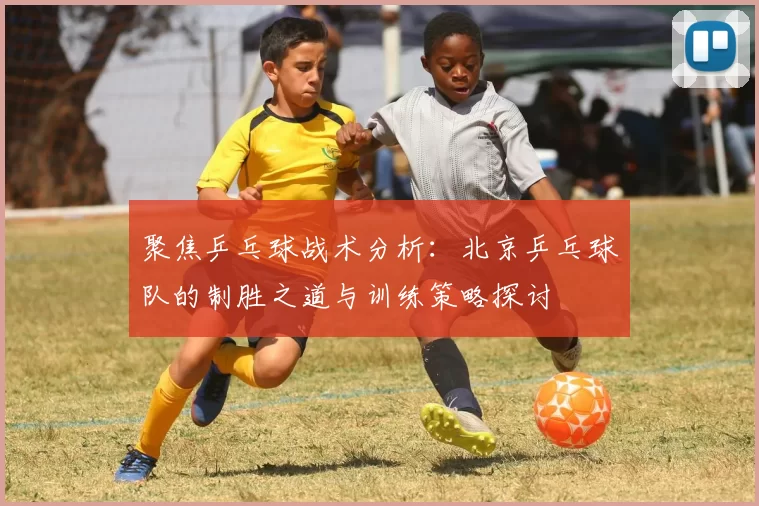 聚焦乒乓球战术分析：北京乒乓球队的制胜之道与训练策略探讨