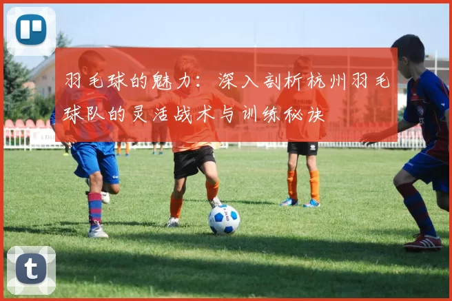羽毛球的魅力：深入剖析杭州羽毛球队的灵活战术与训练秘诀