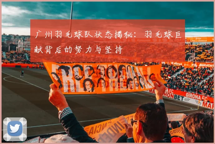 广州羽毛球队状态揭秘：羽毛球巨献背后的努力与坚持