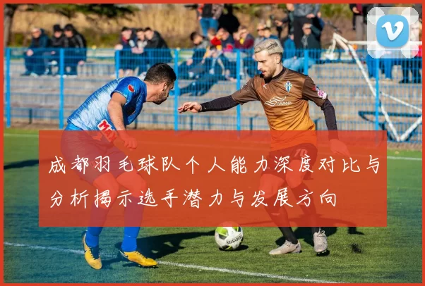 成都羽毛球队个人能力深度对比与分析揭示选手潜力与发展方向