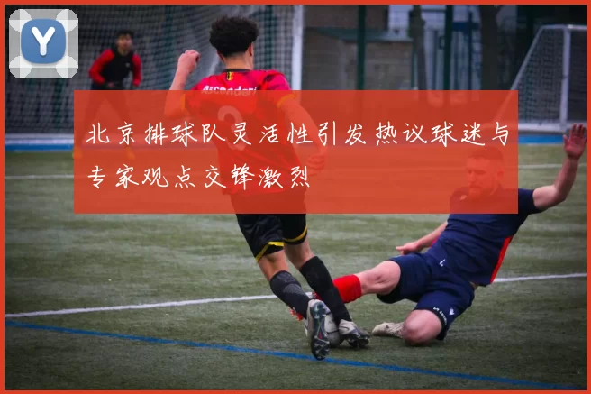 北京排球队灵活性引发热议球迷与专家观点交锋激烈
