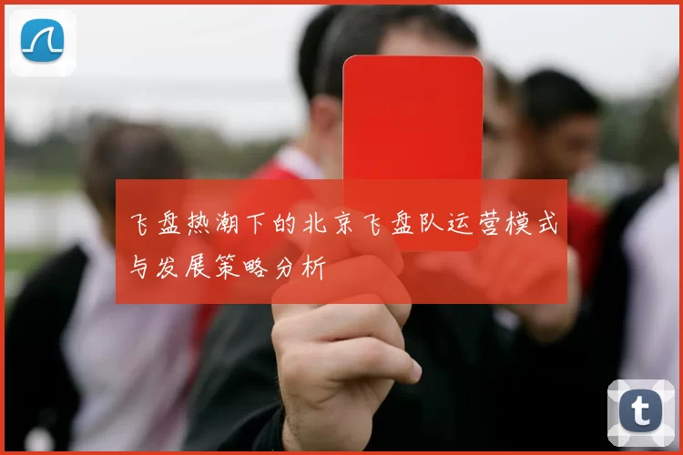 飞盘热潮下的北京飞盘队运营模式与发展策略分析