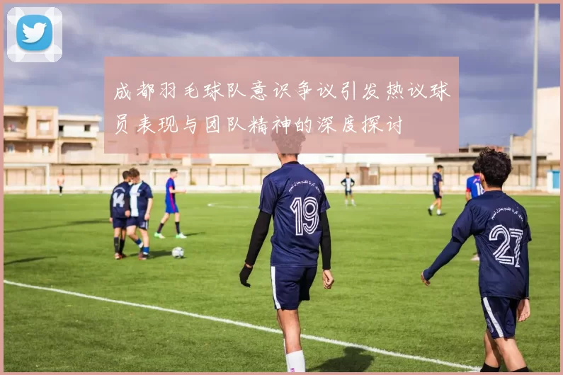 成都羽毛球队意识争议引发热议球员表现与团队精神的深度探讨