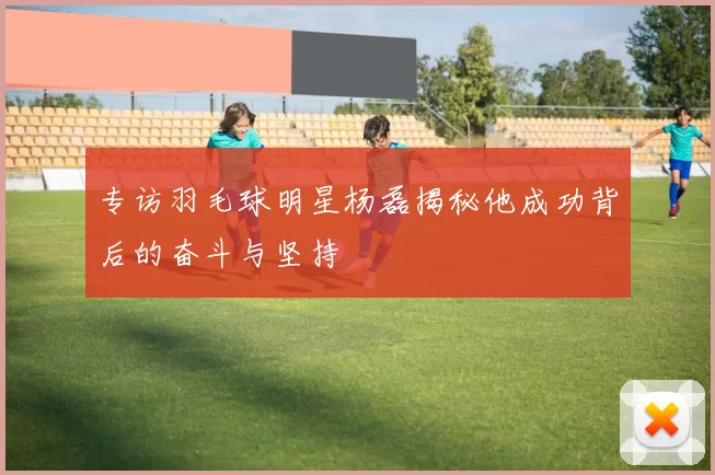 专访羽毛球明星杨磊揭秘他成功背后的奋斗与坚持