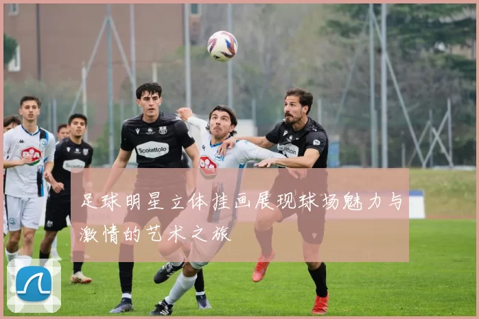 足球明星立体挂画展现球场魅力与激情的艺术之旅