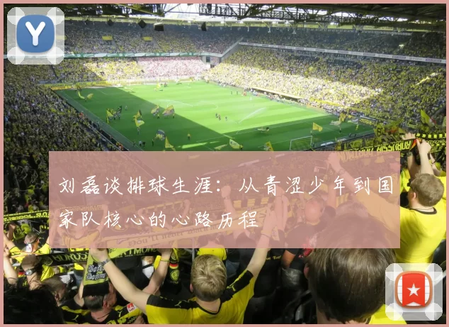 刘磊谈排球生涯：从青涩少年到国家队核心的心路历程
