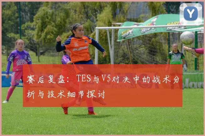 赛后复盘：TES与V5对决中的战术分析与技术细节探讨