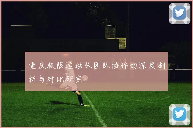 重庆极限运动队团队协作的深度剖析与对比研究