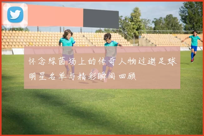 怀念绿茵场上的传奇人物过逝足球明星名单与精彩瞬间回顾