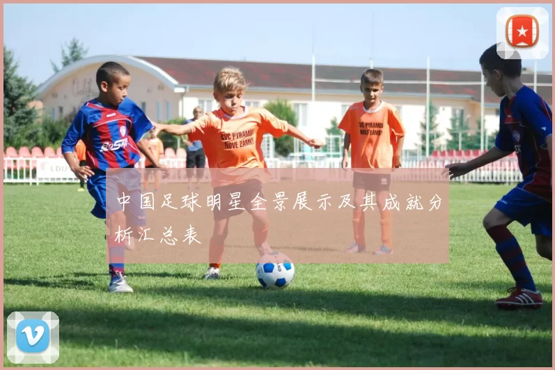 中国足球明星全景展示及其成就分析汇总表