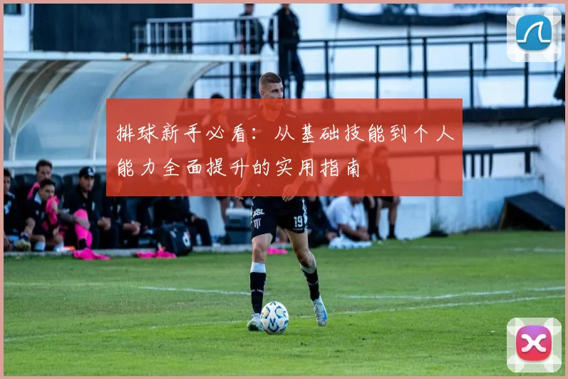 排球新手必看：从基础技能到个人能力全面提升的实用指南