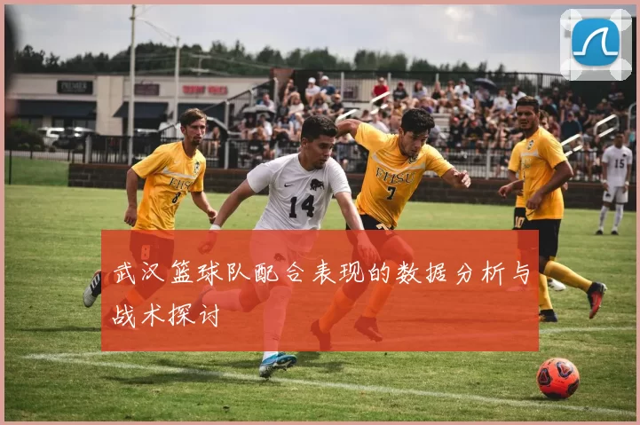 武汉篮球队配合表现的数据分析与战术探讨