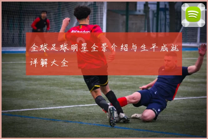 全球足球明星全景介绍与生平成就详解大全
