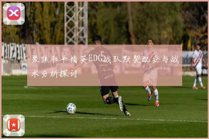 聚焦和平精英EDG战队默契配合与战术分析探讨