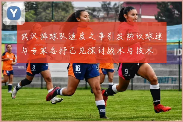 武汉排球队速度之争引发热议球迷与专家各抒己见探讨战术与技术