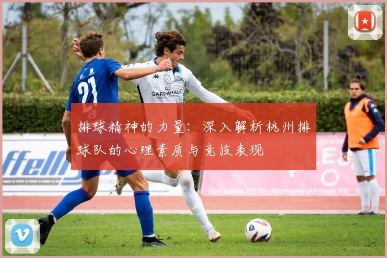 排球精神的力量：深入解析杭州排球队的心理素质与竞技表现