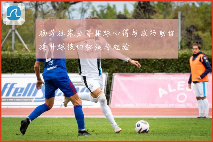 杨芳独家分享排球心得与技巧助你提升球技的秘诀与经验